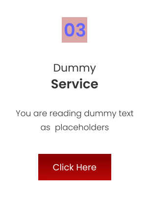 Dummy Service You are reading dummy text as  placeholders 03 Click Here